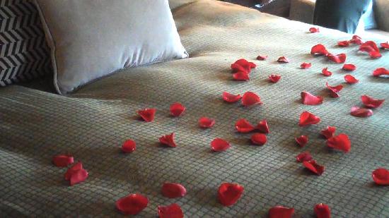 rose-petals-on-the-bed rose-petals-on-the-bed