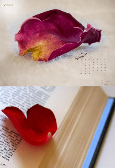 rose-petal-bookmark rose-petal-bookmark