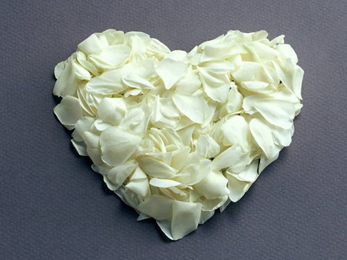 white-roses-heart white-roses-heart